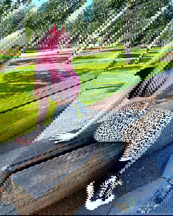 ira_dash_ image ~ Altpins