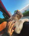 its_nelva Altpins Profile Picture