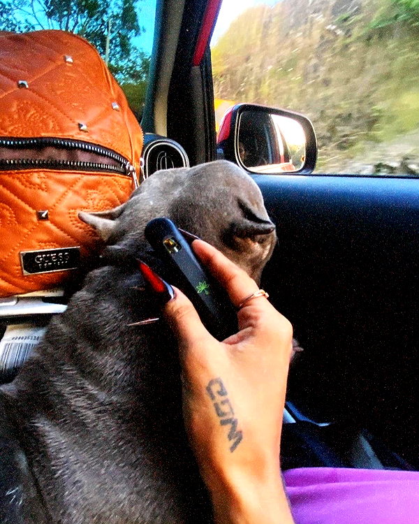 its_nelva instagram image archive image