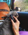 its_nelva Altpins Profile Picture