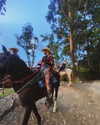 its_nelva Altpins Profile Picture