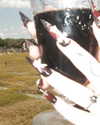 itsbabychaos Altpins Profile Picture