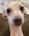 itsemilyblack Altpins Profile Picture