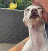 itsemilyblack Altpins Profile Picture