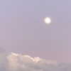 itshollynewton Altpins Profile Picture