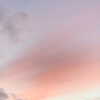 itshollynewton Altpins Profile Picture