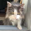 itshollynewton Altpins Profile Picture