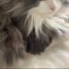 itshollynewton Altpins Profile Picture