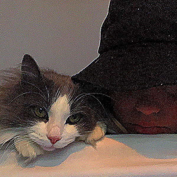 itshollynewton instagram image archive image