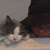itshollynewton Altpins Profile Picture