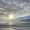 itshollynewton Altpins Profile Picture