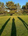 itshollynewton Altpins Profile Picture