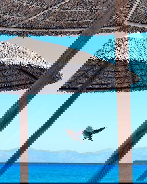 itsilanosh itsilanosh archive image