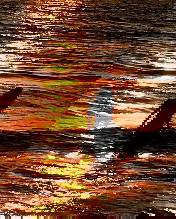 itsilanosh itsilanosh archive image