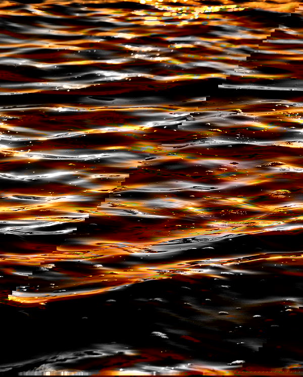 itsilanosh itsilanosh archive image