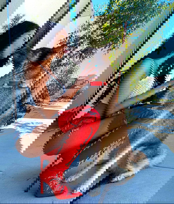 itsmaddy itsmaddy archive image