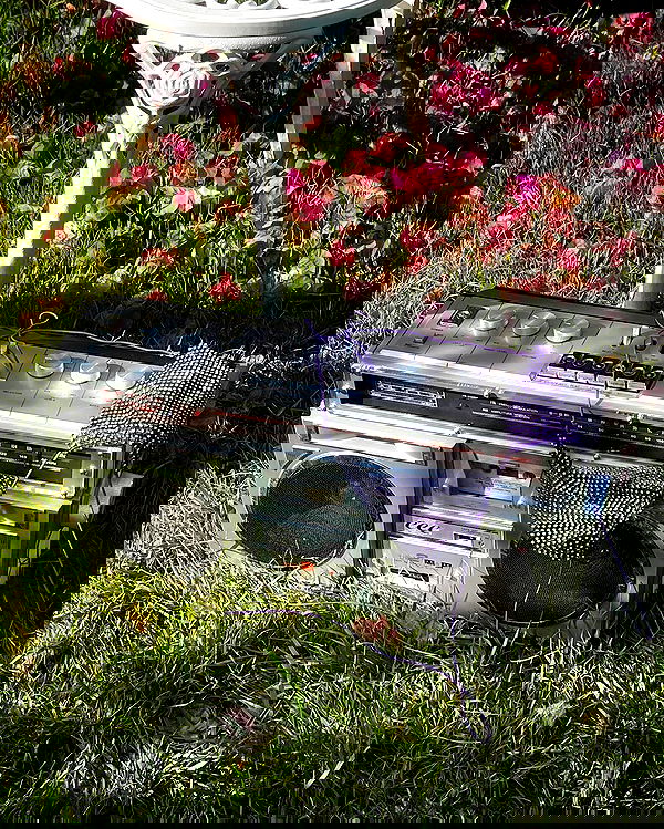 itsmaddy itsmaddy archive image