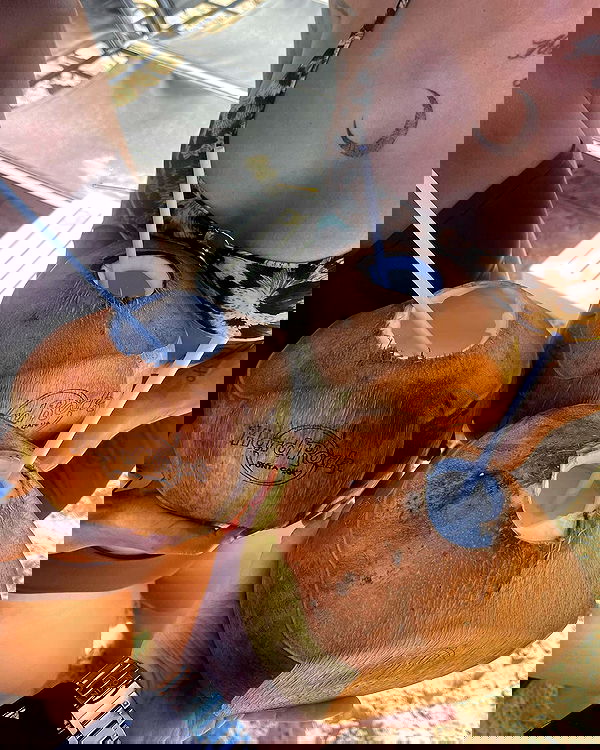 itsmaddy itsmaddy archive image