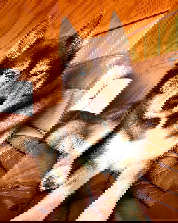 itsmaddy itsmaddy archive image