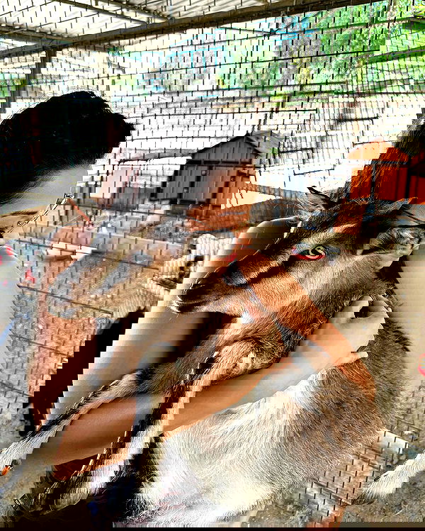 itsmaddy itsmaddy archive image