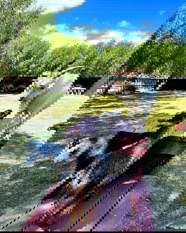 itsmaddy itsmaddy archive image