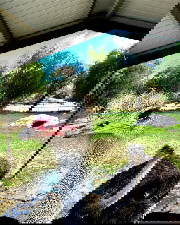 itsmaddy itsmaddy archive image