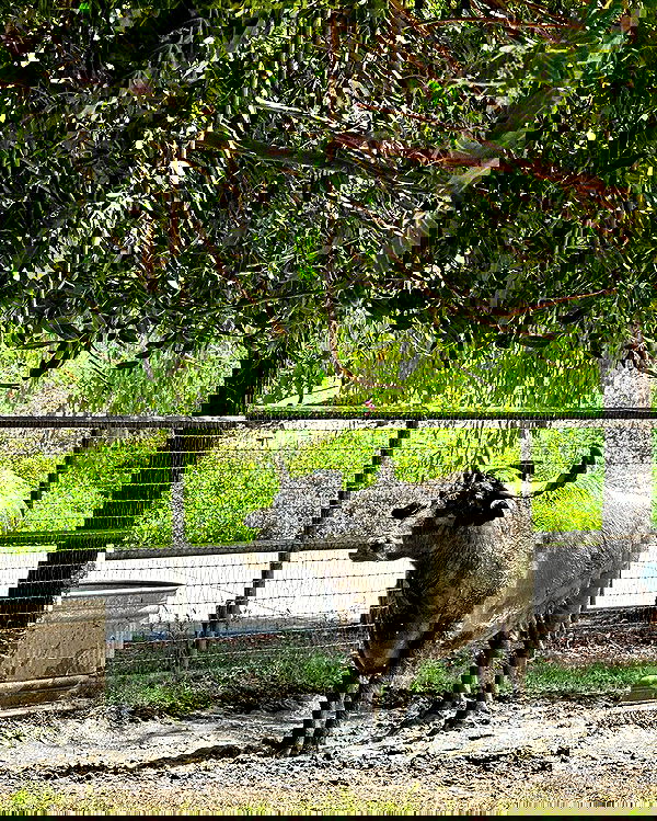 itsmaddy itsmaddy archive image