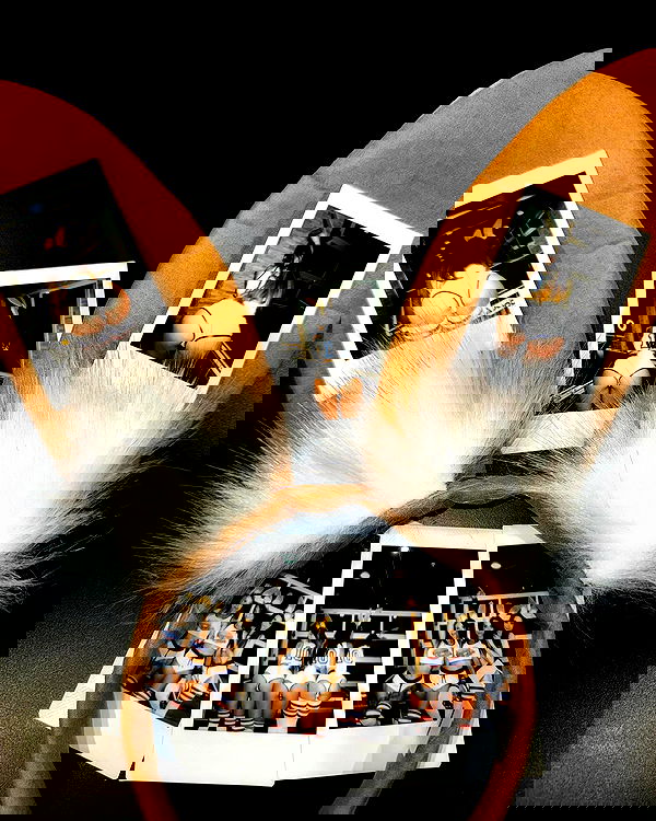 itsmaddy itsmaddy archive image