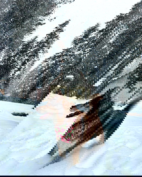 itsmaddy itsmaddy archive image