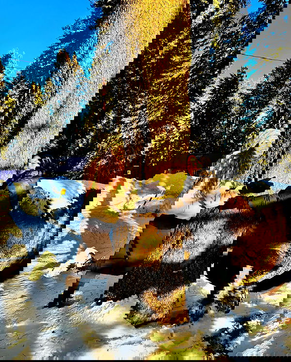 itsmaddy itsmaddy archive image