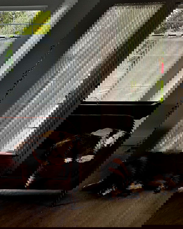 itsmaddy itsmaddy archive image