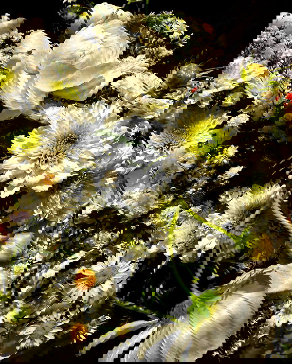 itsmaddy itsmaddy archive image