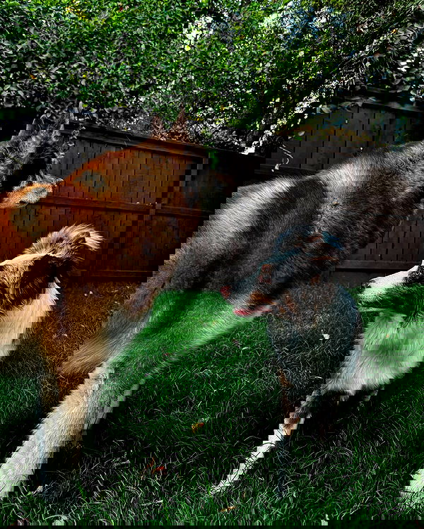 itsmaddy itsmaddy archive image