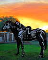 jailyneojeda Altpins Profile Picture