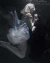 japp_leack Altpins Profile Picture