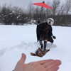 japp_leack Altpins Profile Picture