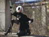 japp_leack Altpins Profile Picture