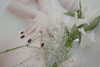 japp_leack Altpins Profile Picture