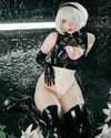 japp_leack Altpins Profile Picture
