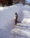 japp_leack Altpins Profile Picture