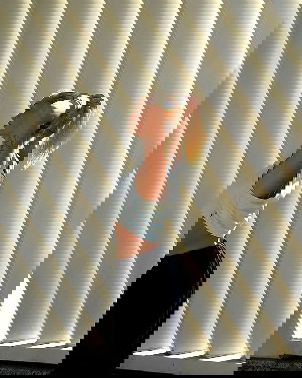 jaroslava_klavir jaroslava_klavir archive image