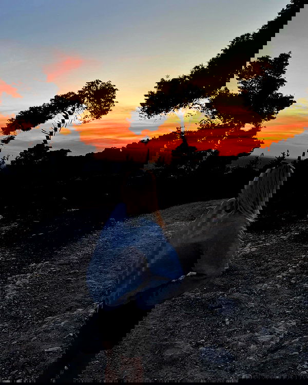 jaroslava_klavir jaroslava_klavir archive image