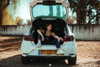 jasmine.soll Altpins Profile Picture