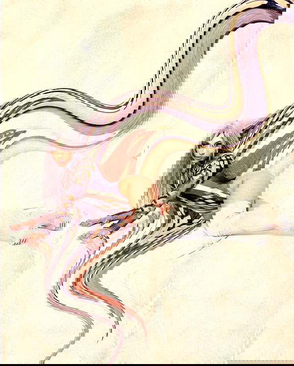 jasminxie2 image ~ Altpins