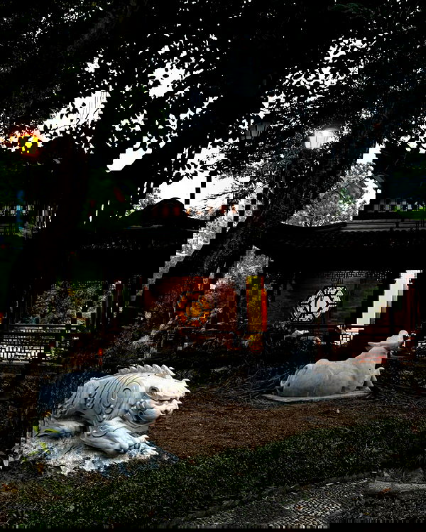 jasminxie2 image ~ Altpins