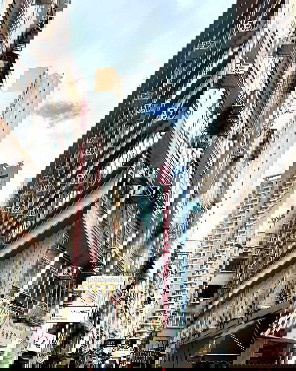 jasminxie2 image ~ Altpins