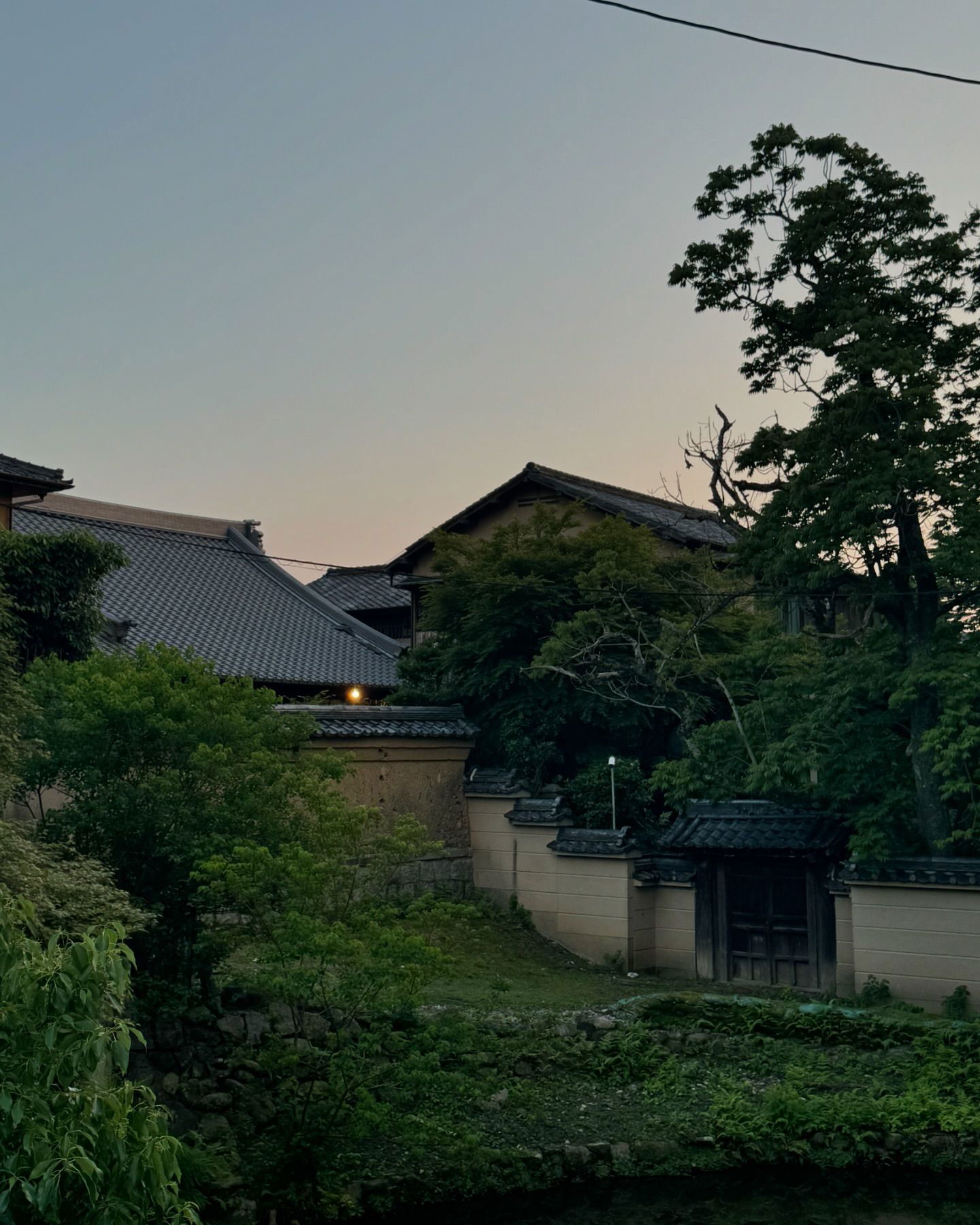 jasminxie2 instagram image archive image