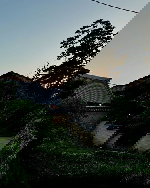 jasminxie2 image ~ Altpins