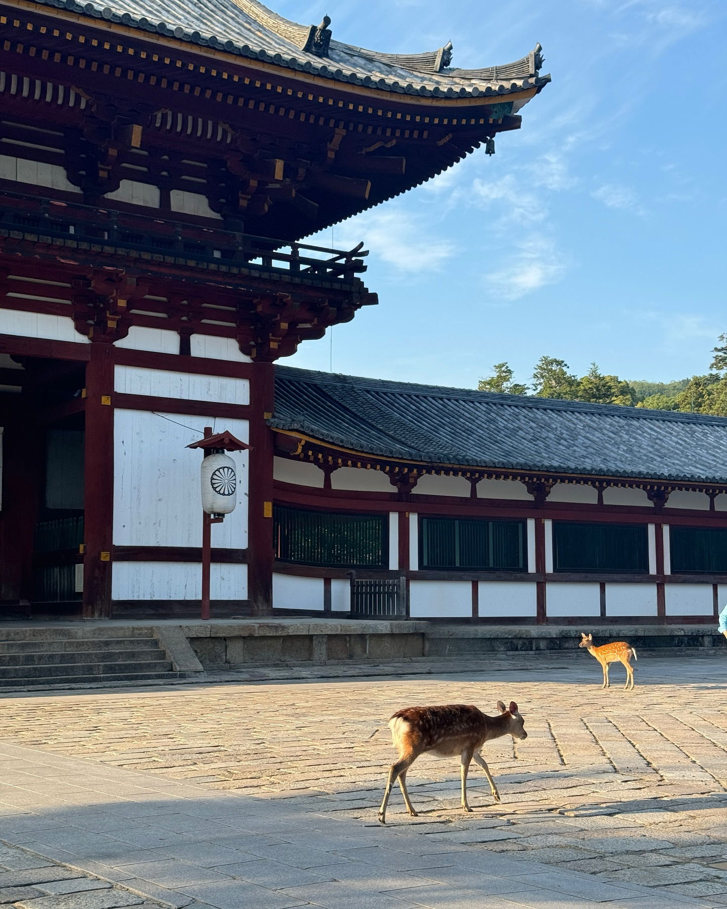 jasminxie2 instagram image archive image