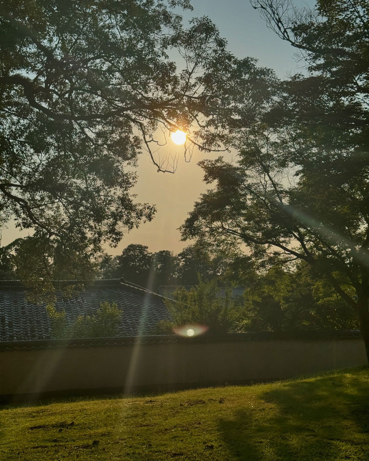 jasminxie2 instagram image archive image